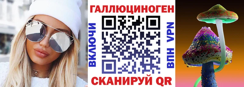 Галлюциногенные грибы Psilocybine cubensis где купить наркоту гидра маркетплейс Малмыж